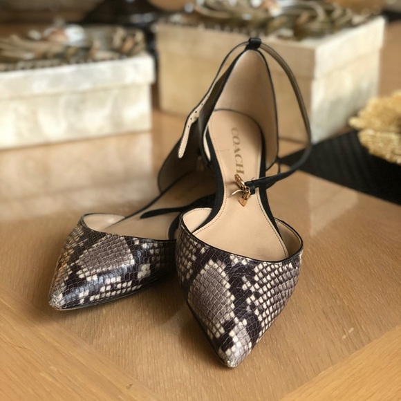 Coach Shoes - Coach snakeskin flats